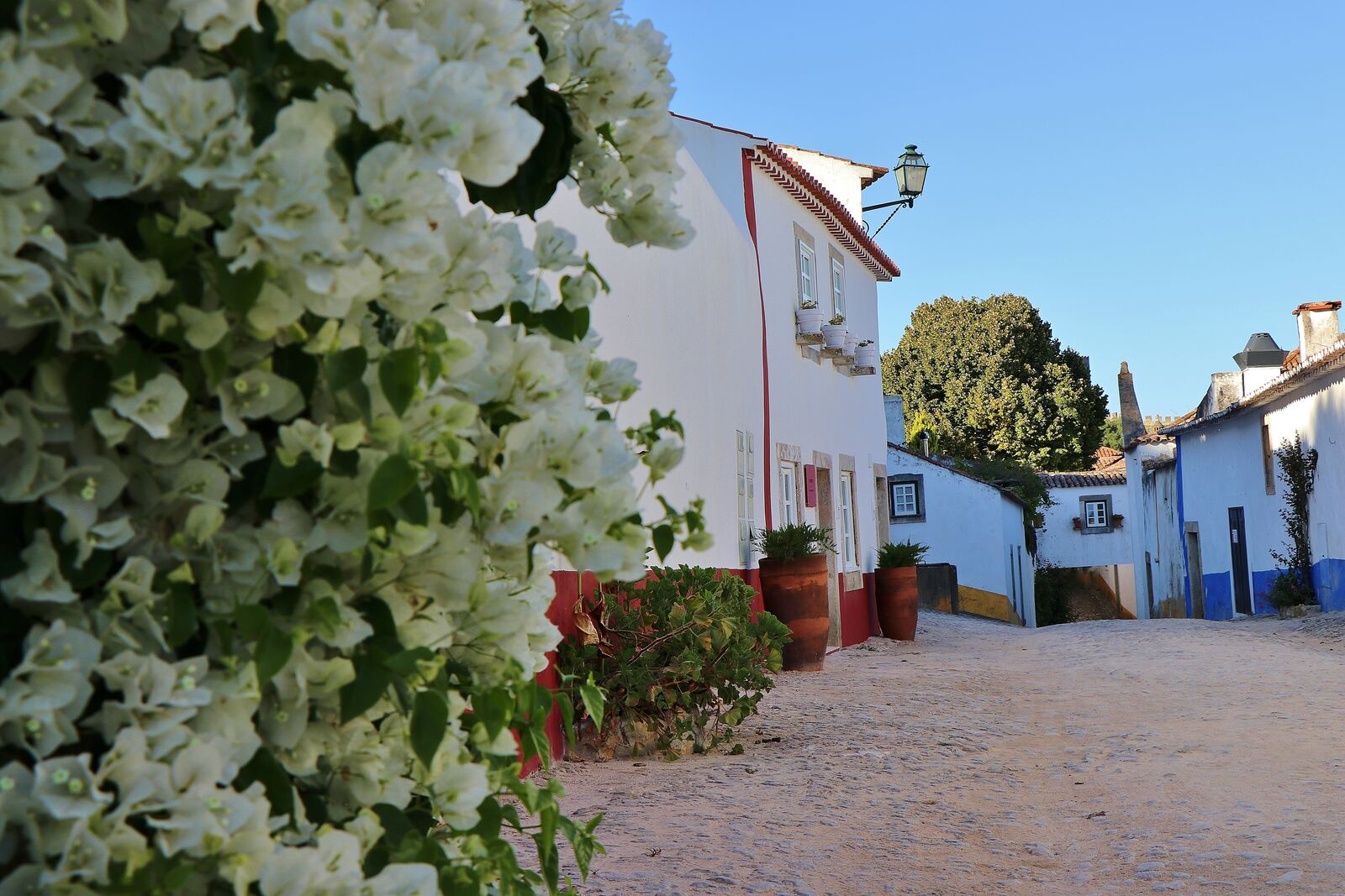 Medieval Walls & Baroque Wonders: Óbidos & Mafra Discovery