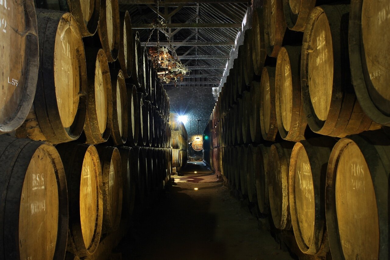 Discover the Wines of Setúbal: A Private Wine Adventure from Lisbon