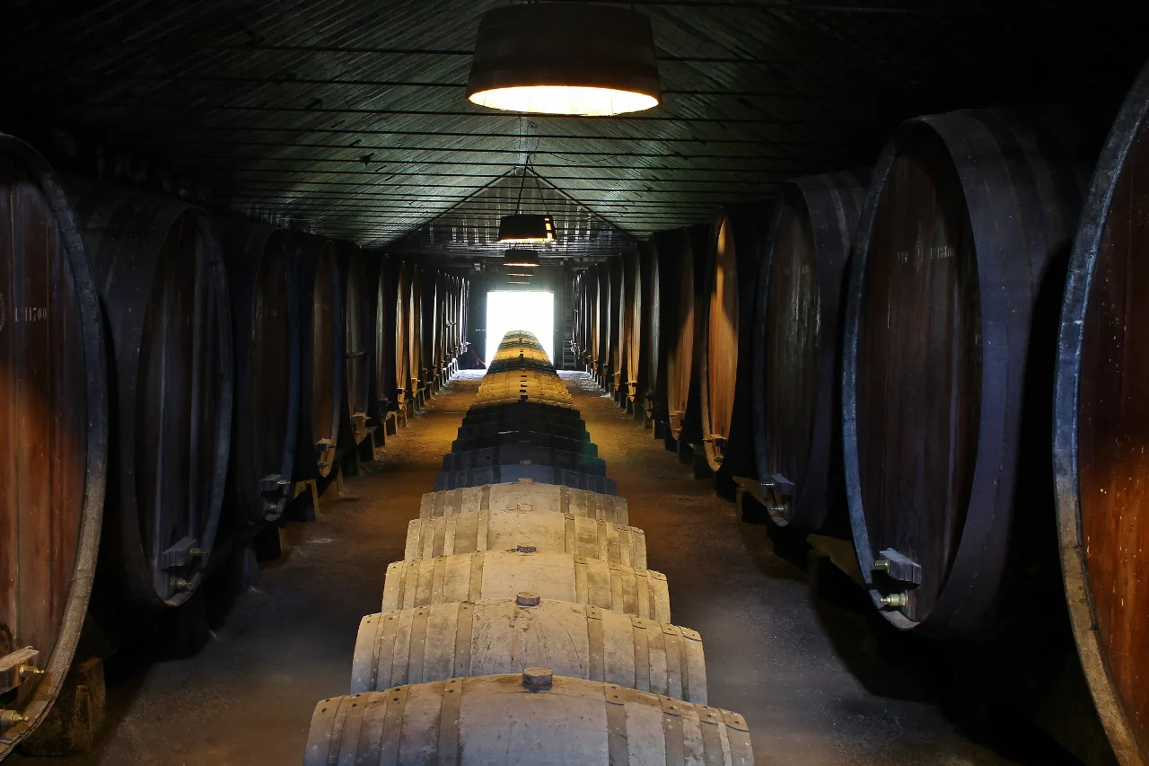 Discover the Wines of Setúbal: A Private Wine Adventure from Lisbon - photo 1