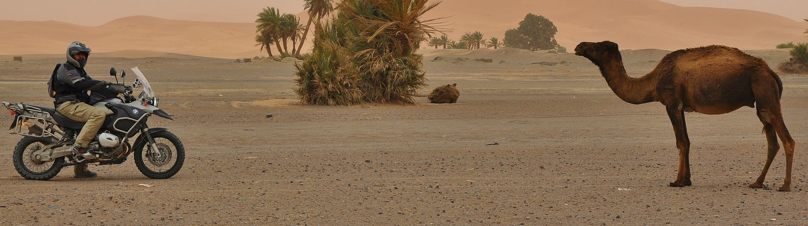 Motorbike Tour Morocco